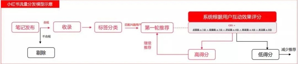 小红书、视频号、抖音流量算法机制，建议收藏！