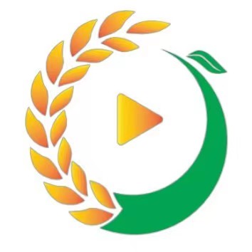 青锞活动群