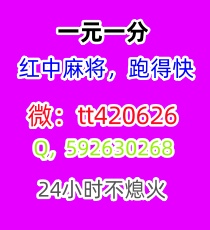 科普一下24小时一元一分红中麻将跑得快群