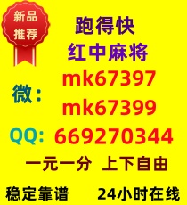 广东红中赖子一元一分麻将群