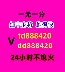 000111.jpg