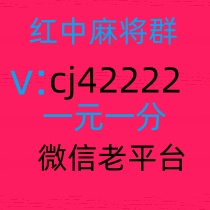 想玩麻将群一元一分的红中麻将群哪里找