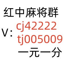 红中麻将群微信在哪里可以找到