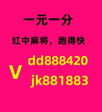 玩法须知正规24小时一元一分红中麻将跑得快群可拉