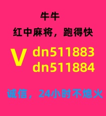 24小时一元一分红中麻将跑得快群可拉（推荐）