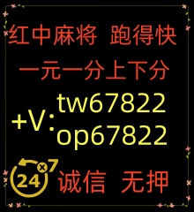 正规加入一元一分红中麻将微信群