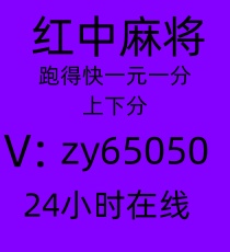 最新玩法24小时正规一元一分红中麻将跑得快