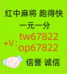正规红中麻将一元一分群