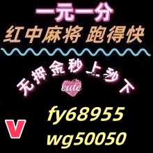 c72e814c2344fdbe09aa6fa5328c6021_副本_副本_副本_副本.jpg