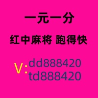 哪有1元1分红中麻将群