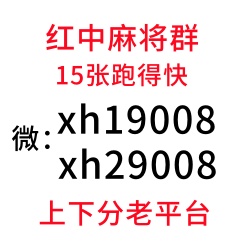 红中麻将一元一分群