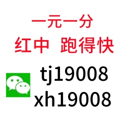 一元一分正规麻将群