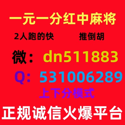 正规信誉2025最新玩法一元一分红中麻将
