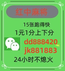 一元一分红中麻将群无押金