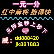 一元一分正规红中麻将群全面升级