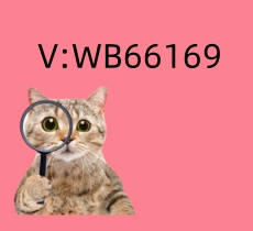 66.jpg