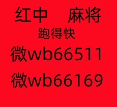 独家解读」 一元一分红中麻将/跑的快麻将群@2025