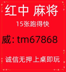（手不释卷 ）正规加入一元一分红中麻将群
