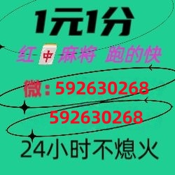 干柴烈火一元一分广东红中麻将群