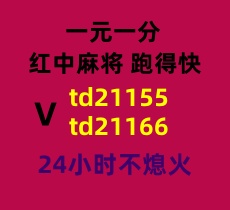 115566.jpg